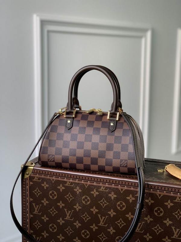 LV Handbags 101